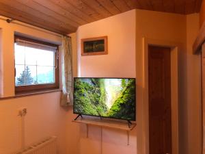 TV a/nebo společenská místnost v ubytování Schlossnerhof