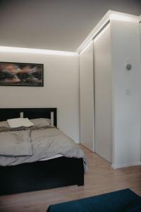 a bedroom with a bed and a painting on the wall at Apartman PENNY in Zvolen