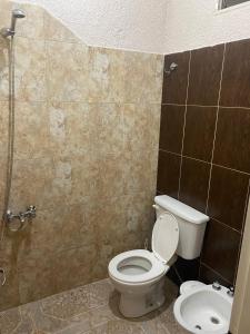 a bathroom with a toilet and a shower at Departamentos - del TALAMPAYA in Villa Unión