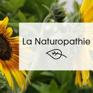 a sunflower with a sign that reads la nationalize at La Maison des Lys in Chissey-lès-Mâcon