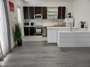 Kuchyň nebo kuchyňský kout v ubytování Apartman Marica