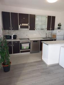 Kuchyň nebo kuchyňský kout v ubytování Apartman Marica