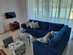 TV a/nebo společenská místnost v ubytování J's Villa