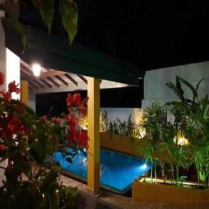 un bâtiment avec une piscine et des plantes devant dans l'établissement Lady Nelly villa Hikkaduwa, à Hikkaduwa