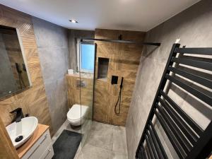a bathroom with a shower and a toilet and a sink at Dablin 9 in Korbielów