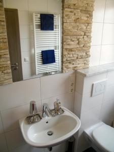 La salle de bains est pourvue d'un lavabo et d'un miroir. dans l'établissement Gasthof Falter, à Straubing