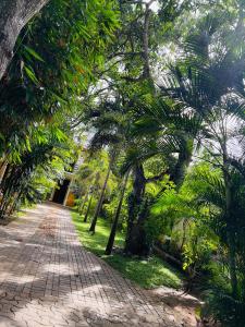 a path with palm trees in a park at Yala Southern Homestay in Tissamaharama