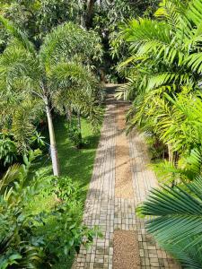 a walkway in a garden with trees and plants at Yala Southern Homestay in Tissamaharama