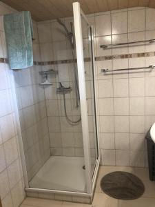 W łazience znajduje się prysznic ze szklanymi drzwiami. w obiekcie Distel w mieście Ritzingen