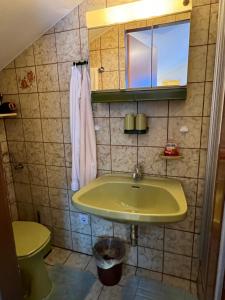a bathroom with a sink and a toilet at Gästehaus Dullnig in Obervellach