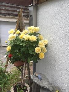Foto sihtkohas Ritzingen asuva majutusasutuse Distel galeriist