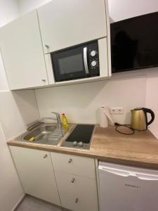 a small kitchen with a sink and a microwave at Apartment Dusseldorf-City in Düsseldorf