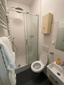 a bathroom with a shower and a toilet and a sink at Apartment Dusseldorf-City in Düsseldorf