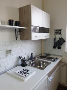 a kitchen counter with a sink and a stove at Apartman Park Jagodina-studio u centru grada in Jagodina