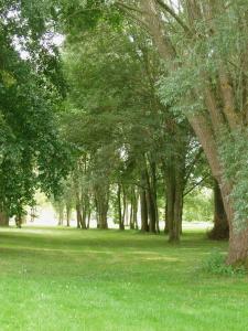 Imagen de la galería de Chambre d'hôte Moulin de l'Aumonier, en Beaulieu-lès-Loches