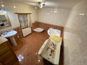 a bathroom with a sink and a toilet and a tub at Chalupa Na Louce Salmov in Mikulášovice