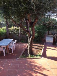un tavolo e sedie accanto a un albero accanto a un patio di Villa Chiara Villetta con giardino IUN 4807 a Porto Pollo