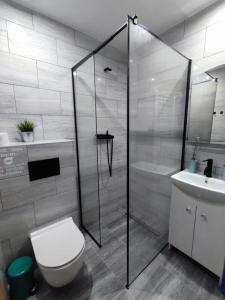 a bathroom with a shower and a toilet and a sink at Apartamenty As Szczyrk Centrum in Szczyrk