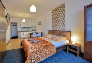 1 dormitorio con 1 cama grande y cocina en Apartdom en Krynica Zdrój