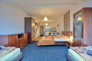 um quarto de hotel com duas camas e uma televisão em Apartdom em Krynica-Zdrój
