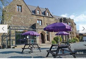 two picnic tables with purple umbrellas in front of a building at JJs Lodge Holiday Home Bude in Kilkhampton