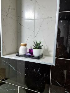 a shelf in a bathroom with a mirror and a plant at Apartment Djurdjic in Pale