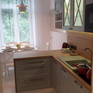 a kitchen with a sink and a counter top at Apartament Na Dworcu in Jedlina-Zdrój