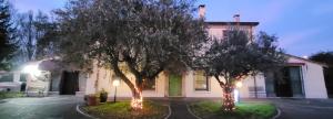 リミニにあるCHEZ BARNIE favoloso appartamento privato in villa a 800mt INGRESSO FIERA RIMINIの灯光の木々