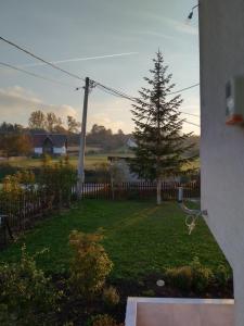 Zahrada ubytování Apartman Vera
