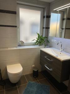 La salle de bains est pourvue de toilettes, d'un lavabo et d'un miroir. dans l'établissement Ferienwohnung Jasmin, à Neustadt an der Weinstraße