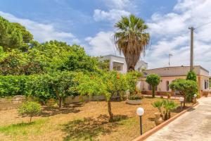 a house with a palm tree in a yard at Casa Daila in Menfi