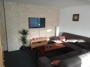 TV a/nebo společenská místnost v ubytování Apartmán U Čechů