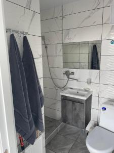 a bathroom with a sink and a toilet at Гостевой дом in Chernihiv