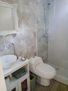 a bathroom with a toilet and a sink and a shower at El Olivo in Chacras de Coria