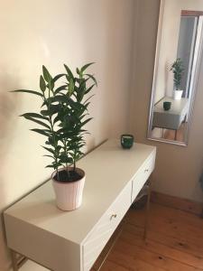 Foto sihtkohas Ennis asuva majutusasutuse Glensheen galeriist
