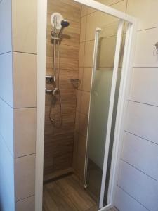 a shower with a glass door in a bathroom at Dom Gościnny Asia in Kołobrzeg
