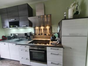 Kuchyň nebo kuchyňský kout v ubytování Ferienwohnung ODIN, FREYA & THOR