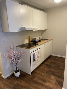 una cocina con fregadero y estufa horno superior en Central Studio Apartment, en Stavanger