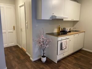 una cocina con armarios blancos y un jarrón con flores en Central Studio Apartment, en Stavanger