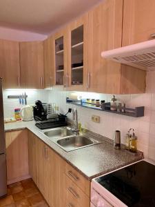 Kuchyň nebo kuchyňský kout v ubytování Apartmán pod lesem