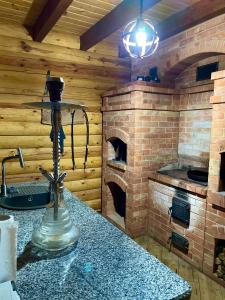 a kitchen with a brick fireplace and a stove at Тіні Предків in Plav'ya