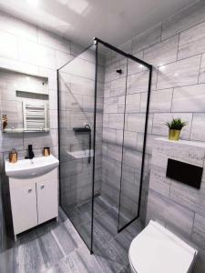 a bathroom with a shower and a toilet and a sink at Apartamenty As Szczyrk Centrum in Szczyrk