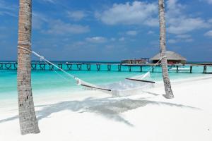 a hammock on a beach next to a pier at Constance Halaveli in Hangnaameedhoo