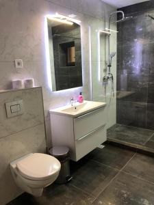 La salle de bains est pourvue de toilettes, d'un lavabo et d'une douche. dans l'établissement Pensiunea Armonia Albac, à Albac