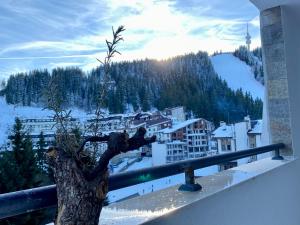 Foto da galeria de Luxury Aparthotel STUDENETS em Pamporovo