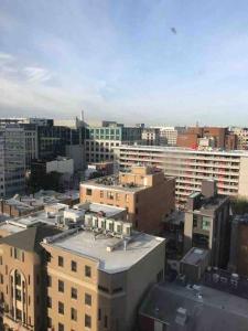 Modern 1-Bd Unit with Gorgeous View of DC Skyline