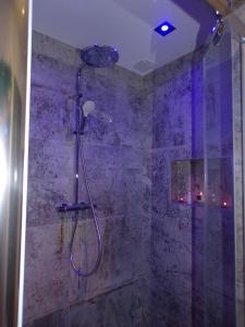 a bathroom with a shower with a shower head at Loveroom 54 in Jarville-la-Malgrange