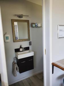 a bathroom with a sink and a mirror at Denchys B&B in Matamata