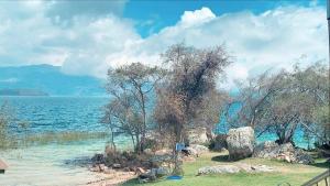 una vista de un cuerpo de agua con árboles y rocas en Camping Los Balcones en Cuítiva