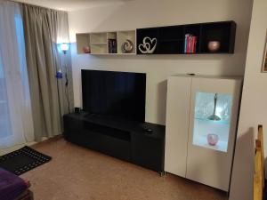 TV a/nebo společenská místnost v ubytování Ferienapartment "Alois" in Sankt Englmar